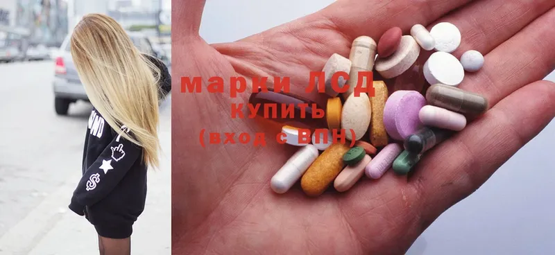 как найти   Каргополь  ЛСД экстази ecstasy 