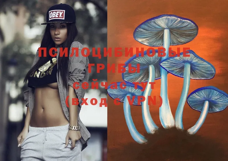 Галлюциногенные грибы Psilocybe Каргополь